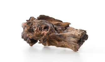 Unveiling the Ethereal Charm of White Oudh Attar: A Fragrant Journey of Purity and Serenity