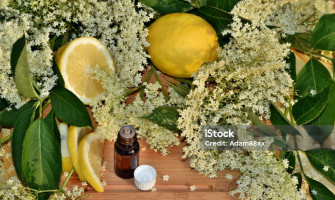 Unveiling the Healing Elixir: The Remarkable Benefits of doTERRA Bergamot Essential Oil Unveiling the Healing Elixir: The Remarkable Benefits of doTERRA Bergamot Essential Oil